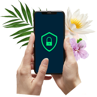 Anti Fraude Collage Anti Fraude Collage
