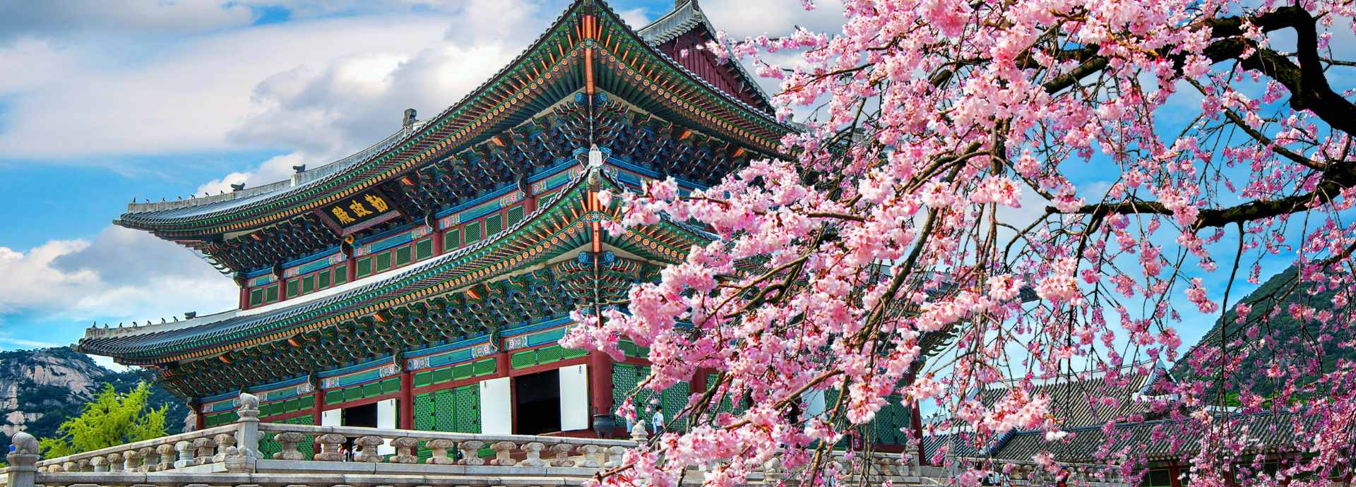 Seguro de viaje a Corea del Sur